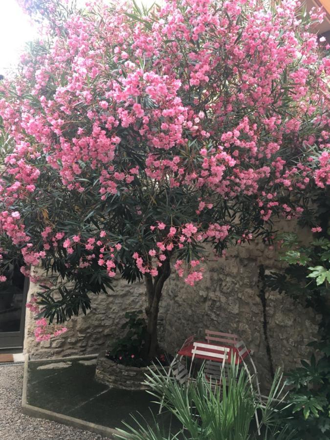 Chambre Sur Jardin Secret - Avignon Centre - Climatisee Exterior foto